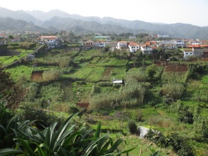 Agricultural landscape, Madeira